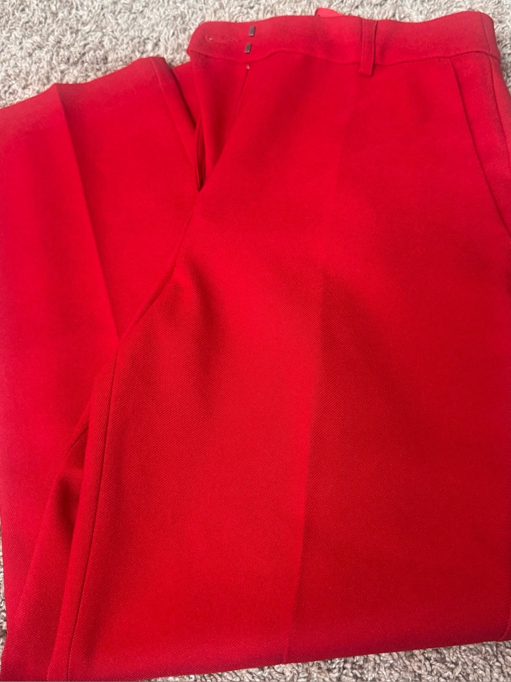 Express editor ankle pant